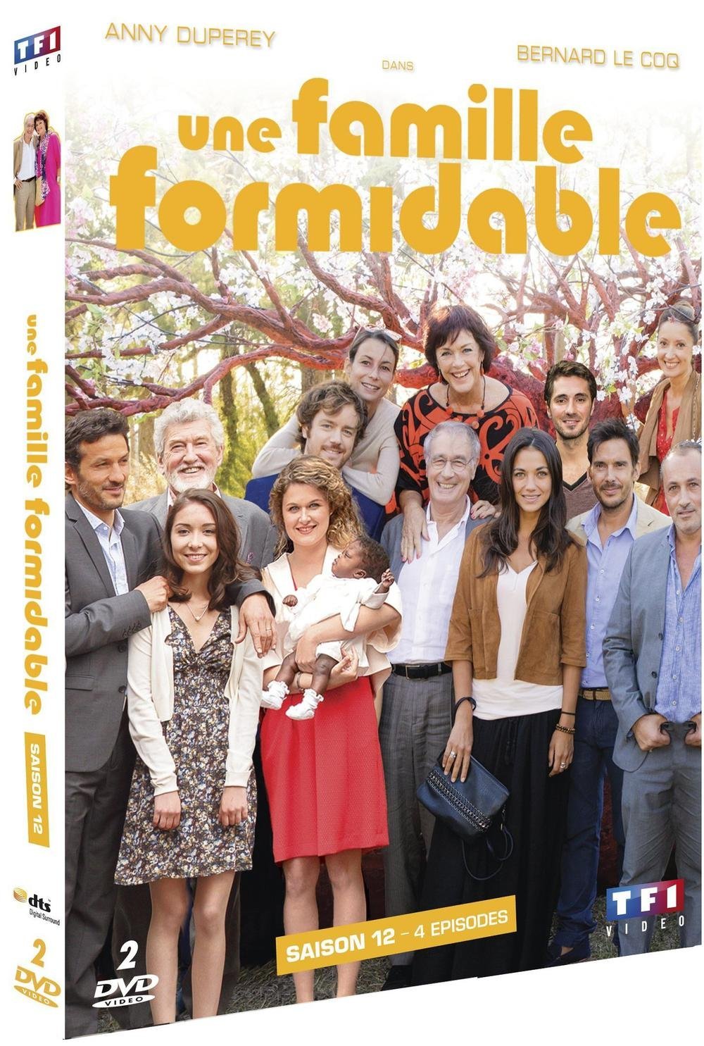 Une Famille Formidable Saison 12 Critique Film